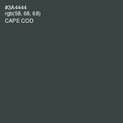 #3A4444 - Cape Cod Color Image